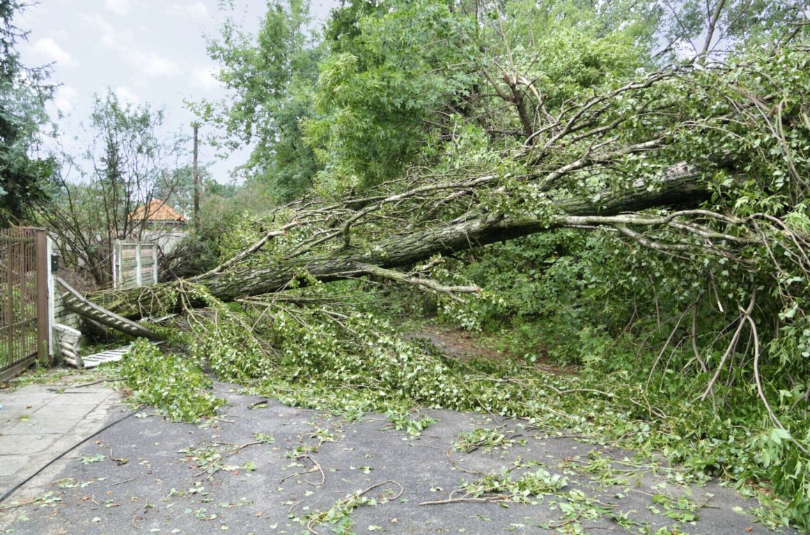 Storm Cleanup & Debris Removal service in Danville, VA